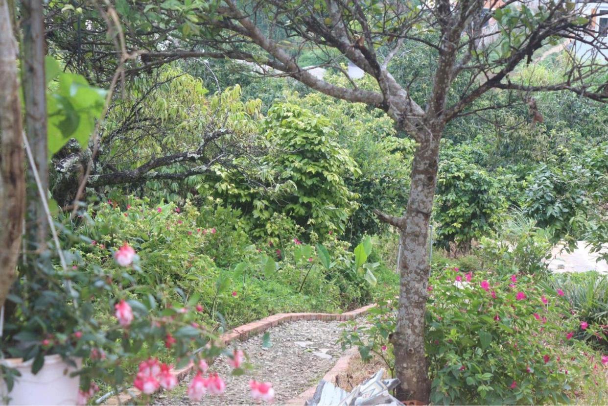 Thang Nam Ruc Ro - Dalat Homestay Exterior foto